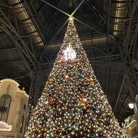 ディズニー クリスマス（東京ディズニーランド）