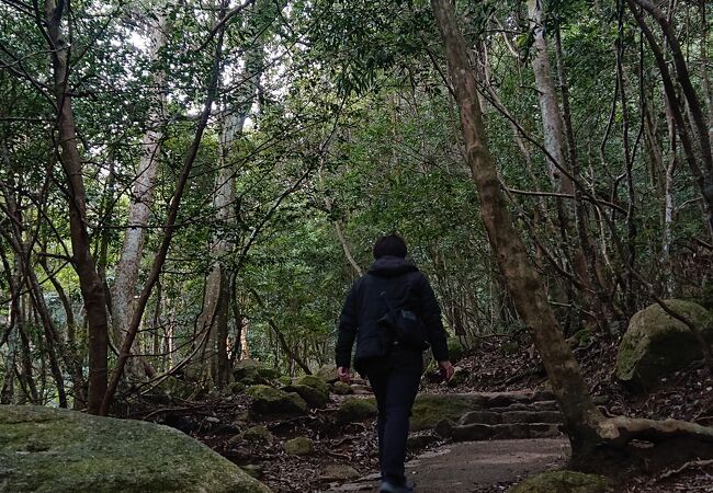 弥山登山道 紅葉谷コ－ス