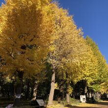 滝野川公園