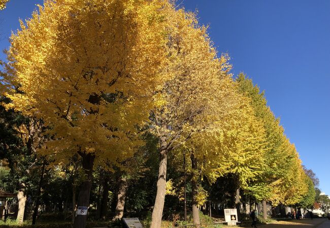 滝野川公園