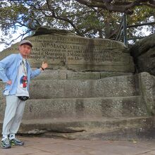 ミセスマコリーチェア