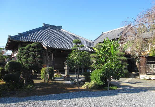 大道寺