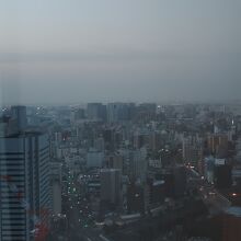 遠くに羽田空港の滑走路が見えます