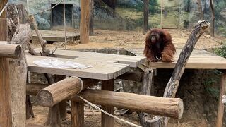 新竹市立動物園