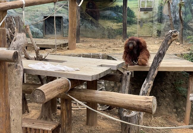 新竹市立動物園