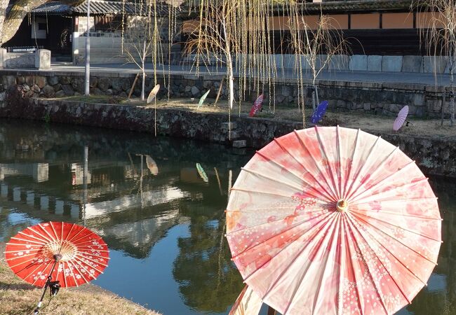 倉敷川沿いに色とりどりの和傘が並べられていました