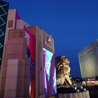 ライオン像が有名なホテル