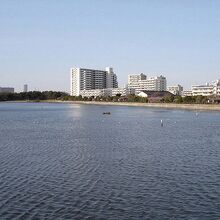 谷津干潟公園の風景