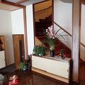 部屋の窓から桜並木が見れました