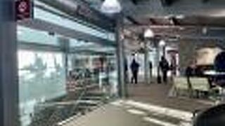 インテルナシオナル コマンダンテ アルマンド トラ空港 (FTE)