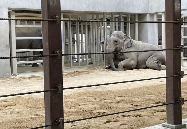 周南市徳山動物園