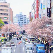 駅チカながらも桜を綺麗に眺める事が出来ました。