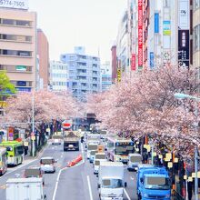 中野通り