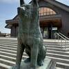 大館市観光交流施設 秋田犬の里