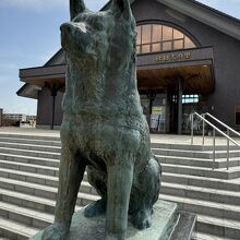 大館駅前にある秋田犬の里は無料で見学できます。