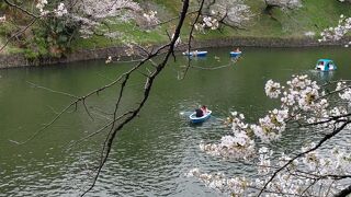 桜の名所