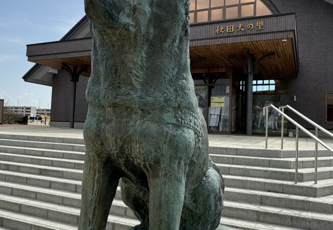 大館市観光交流施設 秋田犬の里