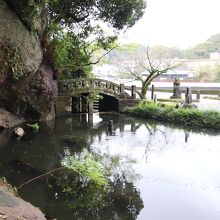 宝満寺の池