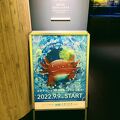 想像していたよりも充実している水族館