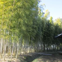 玄照寺