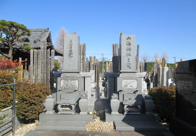 世田谷散策(14)烏山寺町で幸龍寺に行きました