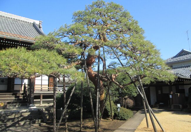 西蓮寺