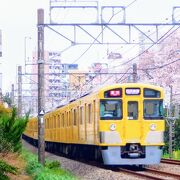 黄色の西武新宿線が急激に少なくなっていました。