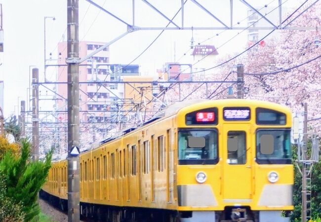 黄色の西武新宿線が急激に少なくなっていました。