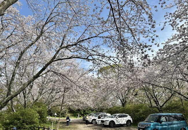 加布里公園