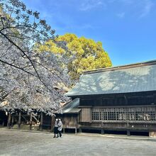 櫻井神社