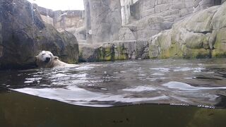 ハーゲンベック動物園