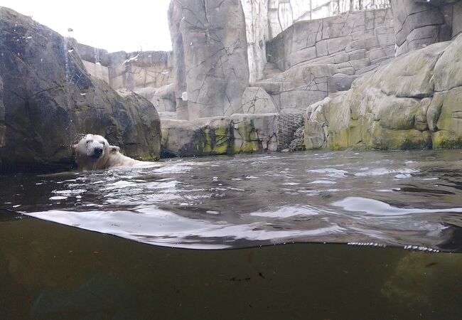 ハーゲンベック動物園