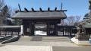 花手水も春らしく