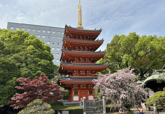 博多を代表する寺院