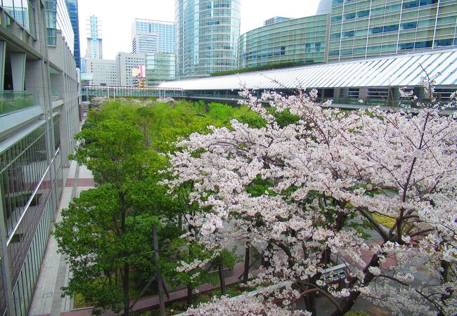 高層ビルと公園