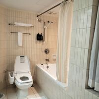 水回りはだいぶ古い。そして謎のカーテン（右側）