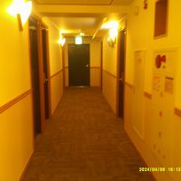 客室通路の様子
