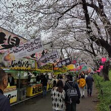 第91回幸手桜まつり