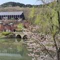 満開の桜と鶯のさえずりで春爛漫の明治村