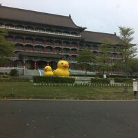 夜の方が綺麗です