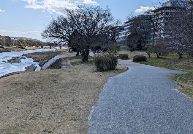 川べりを自転車で走ると気持ちが良い。