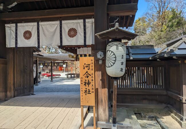 カワイイ神社、河合神社