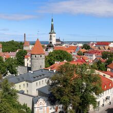 パットクリ展望台