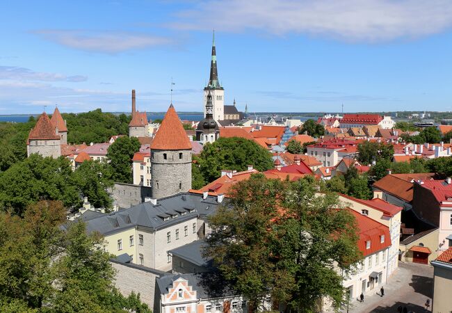 パットクリ展望台