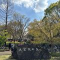 4月7日桜が満開でした。花見の週末は周辺道路が渋滞します。