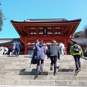 鎌倉と言えばまず　鶴岡八幡宮　