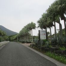 都立八丈植物公園