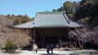 鎌倉駅から徒歩　妙本寺