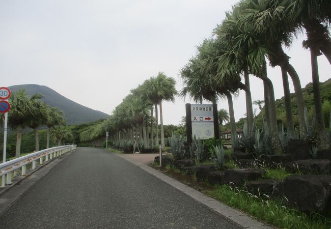 都立八丈植物公園