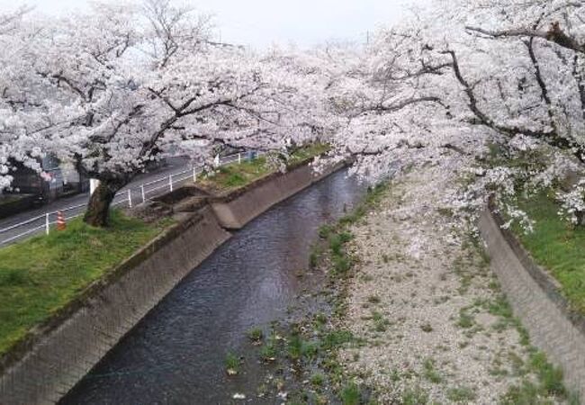 堀尾跡公園